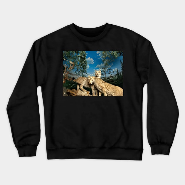 Natural environment diorama - two leopards Crewneck Sweatshirt by Reinvention